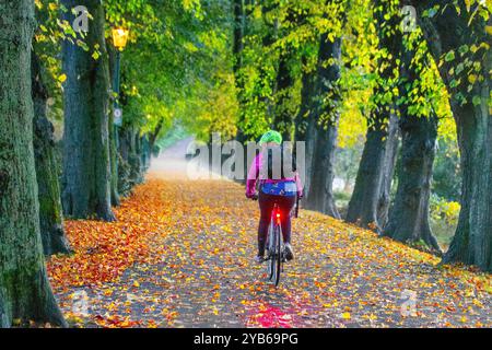 Preston, Lancashire, 17 Oct 2024. UK Weather Misty start to the Autumn day.   Commuters travel on leaf-strewn Riverside walk avenue of lime trees in Avenham Park as the sun rises over the swollen River Ribble.   Credit; MediaWorldImages/AlamyLiveNews Stock Photo