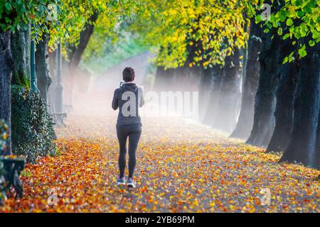 Preston, Lancashire, 17 Oct 2024. UK Weather Misty start to the Autumn day.   Commuters travel on leaf-strewn Riverside walk avenue of lime trees in Avenham Park as the sun rises over the swollen River Ribble.   Credit; MediaWorldImages/AlamyLiveNews Stock Photo