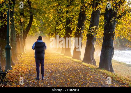 Preston, Lancashire, 17 Oct 2024. UK Weather Orange Misty start to the Autumn day.   Commuters travel on leaf-strewn Riverside walk avenue of lime trees in Avenham Park as the sun rises over the swollen River Ribble.   Credit; MediaWorldImages/AlamyLiveNews Stock Photo