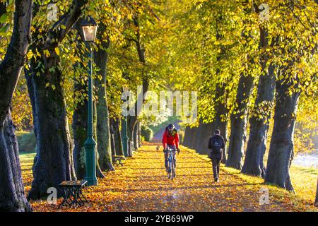 Preston, Lancashire, 17 Oct 2024. UK Weather Misty start to the Autumn day.   Commuters travel on leaf-strewn Riverside walk avenue of lime trees in Avenham Park as the sun rises over the swollen River Ribble.   Credit; MediaWorldImages/AlamyLiveNews Stock Photo