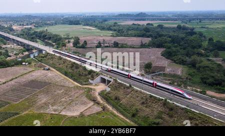 (241017) -- JAKARTA, Oct. 17, 2024 (Xinhua) -- An aerial drone photo taken on Oct. 12, 2024 shows a high-speed electrical multiple unit (EMU) train running along the line of Jakarta-Bandung High-Speed Railway (HSR) near Karawang Station, West Java, Indonesia. The Jakarta-Bandung HSR, celebrating its first anniversary on Thursday, has transported 5.79 million passengers, according to PT Kereta Cepat Indonesia-China (KCIC), a joint venture between Indonesian and Chinese enterprises that built and operates the railway. Since its commercial launch in October 2023, the HSR has completed over 15, 8 Stock Photo