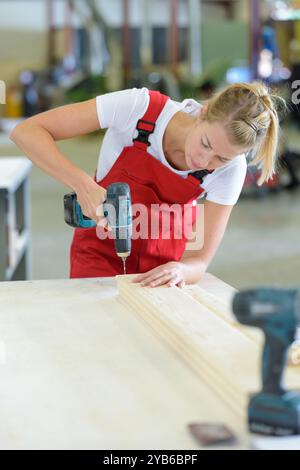female constractor working and using screwdriver Stock Photo