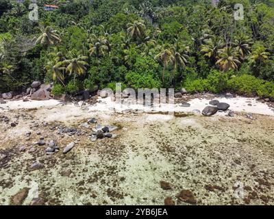 Palm trees and coral reef in a tropical beach seen from above. Seychelles, Indian Ocean Stock Photo