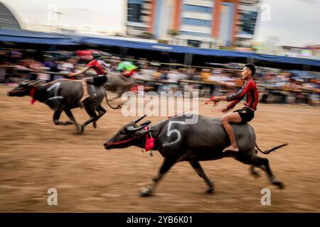 Chonburi Buffalo Racing Festival in Thailand Thai jockeys compete in the annual water buffalo races in Chonburi province, Thailand, 16 October 2024. An estimated 300 water buffaloes take part in the centuries old water buffalo racing festival. The races are divided into categories, where buffaloes are placed according to the buffalo s age. The annual festival is held every October among rice farmers to celebrate the rice harvest and to mark the end of the Buddhist Lent. Chonburi Thailand Copyright: xMatrixxImagesx/xDiegoxAzubelx Stock Photo