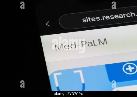 Med-PaLM logo sign on official website. Large language model (LLM) for medical Stock Photo