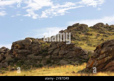 Nature of Eastern Siberia. Ubsunur basin. Republic of Tuva. Russia Stock Photo