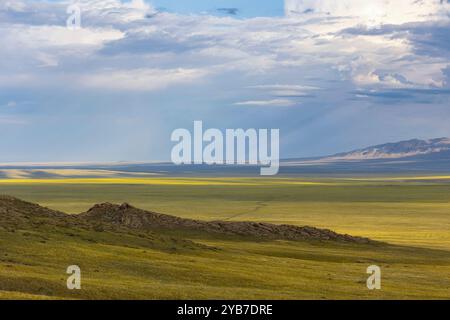 Nature of Eastern Siberia. Ubsunur basin. Republic of Tuva. Russia Stock Photo