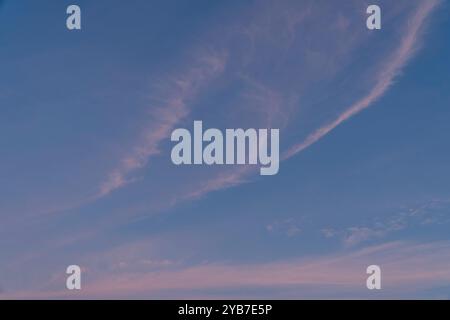 Beautiful blue with long streaks of pink or magenta colored clouds during sunset. Stock Photo