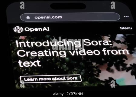 Sora text-to-video AI model description on OpenAI website Stock Photo