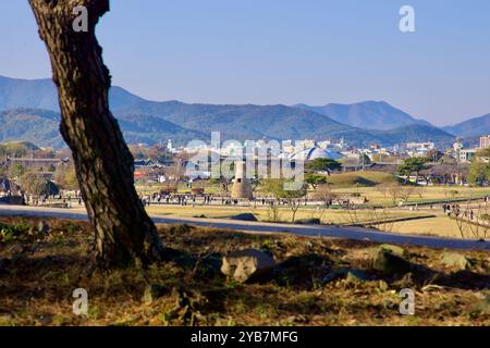 Gyeongju City, South Korea - November 11th, 2023: Cheomseongdae Observatory, standing at the center of a vast park in Gyeongju, is framed by trees and Stock Photo