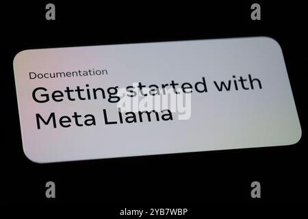 Shanghai,China-May 15th 2024: Meta AI Llama open source large language model on phone screen Stock Photo