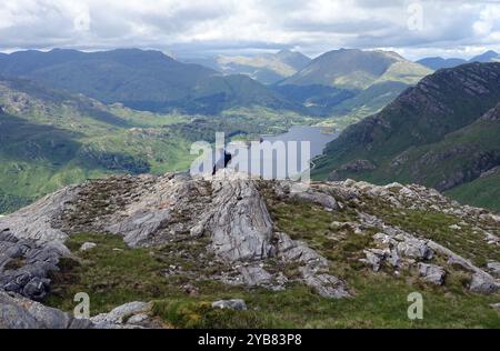 Man Sitting on Rock on the Corbett 'Sgurr Ghiubhsachain' above the Fish Farm at Guesachan on Loch Shiel near Glenfinnan, Scottish Highlands, Scotland. Stock Photo