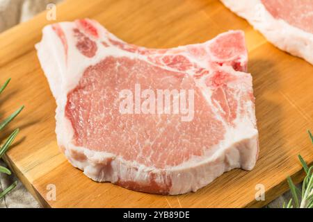 Organic Raw Bone in Pork Chops Ready to Cook Stock Photo