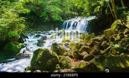 Tateshina-Otaki Falls in Nagano Prefecture, Japan, cascade over large stones and cliffs, blanketed in lush moss nourished by the cool mist rising from Stock Photo