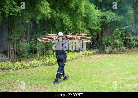 A man carries tree branches in the park to make it cleaner and more comfortable Stock Photo