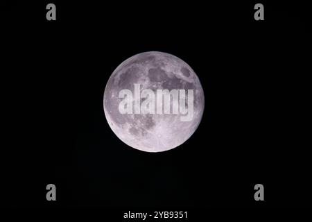 Wadebridge, Cornwall, UK.  17th October 2024. UK Weather. The full Hunters Moon, a supermoon. rises over Wadebridge in Cornwall this evening. Credit Simon Maycock / Ģ����ý Live News. Stock Photo