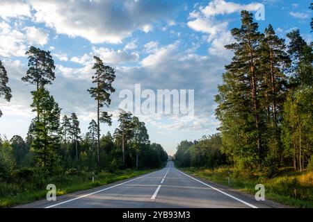 A long, straight road stretches through a vibrant green forest, with tall trees lining both sides under a clear blue sky filled with clouds, creating Stock Photo