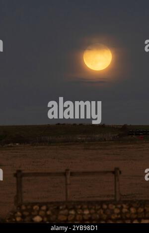 Birling Gap, UK. 17th Oct 2024. Tonights full supermoon, also known as the hunters moon, rises behind hills on the South Downs near Birling Gap in East Sussex,UK. Credit: Ed Brown/Alamy Live News Stock Photo