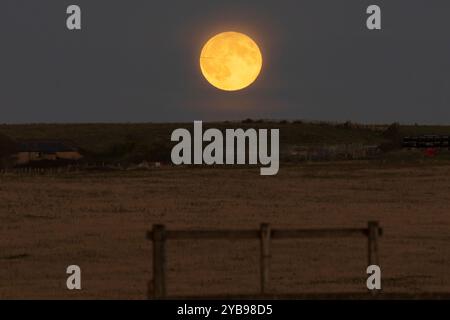 Birling Gap, UK. 17th Oct 2024. Tonights full supermoon, also known as the hunters moon, rises behind hills on the South Downs near Birling Gap in East Sussex,UK. Credit: Ed Brown/Alamy Live News Stock Photo