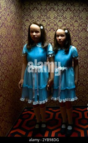 The Shining The Twins Stock Photo - Alamy