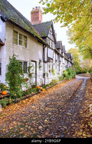 Autumn view along an the old  picturesque cobbled School Lane in the Cheshire village of Great Budworth with fallen leaves Stock Photo