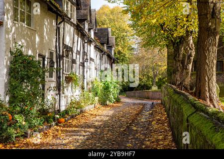 Autumn view along an the old  picturesque cobbled School Lane in the Cheshire village of Great Budworth with fallen leaves Stock Photo