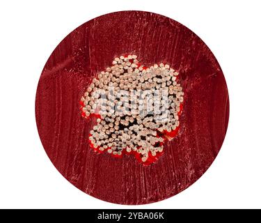 Cross Section of Red Electrical Cable with Copper Wires Stock Photo
