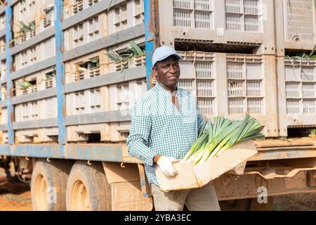 African american farmer holding crate with leeks standing next to truck Stock Photo