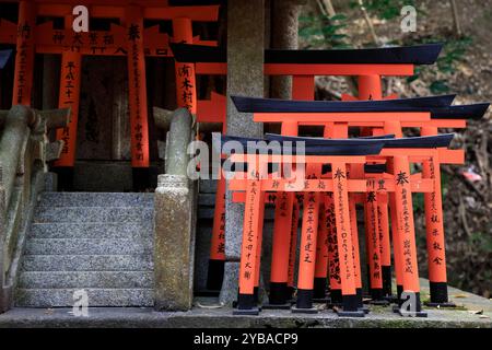 Small Torill gates decorating the Fushimi Inari-taisha shrine. Kyoto,Kansai,Japan Stock Photo