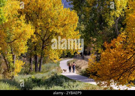 Couple walking their dogs on Tucker Gulch Trail in autumn - Golden, Colorado, USA Stock Photo