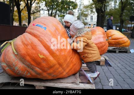 Riga, Latvia. 17th Oct, 2024. Pumpkins are displayed at Latvia's largest pumpkin championship in Riga, Latvia, Oct. 17, 2024. The 19th Latvia's largest pumpkin championship was held here on Thursday. Credit: Edijs Palens/Xinhua/Alamy Live News Stock Photo