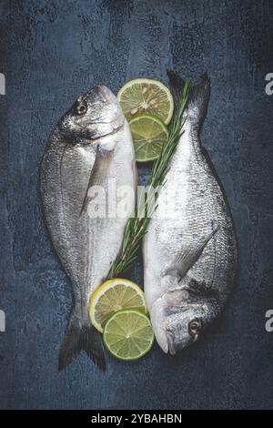 Fresh, raw dorado fish, on a dark blue background, top view, two pieces, no people Stock Photo