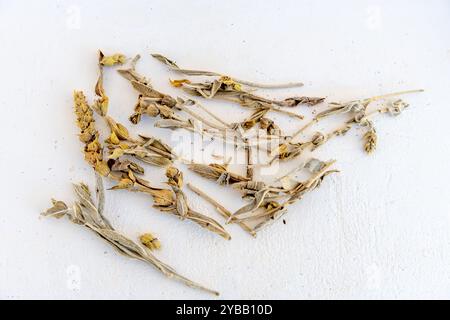 Loose Greek herbal mountain tea, isolated in a white background. Stock Photo