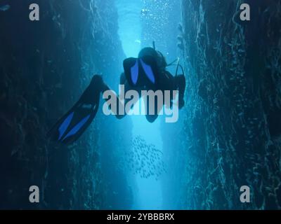 Woman scuba diving among shipwreck underwater in sea, Kingstown, Saint Vincent and the Grenadines Stock Photo