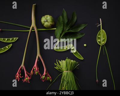 Flat lay still life green vegetables on black background Stock Photo