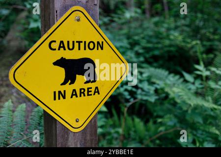 A yellow caution sign with the silhouette of a bear, warning visitors of bear activity in the area Stock Photo