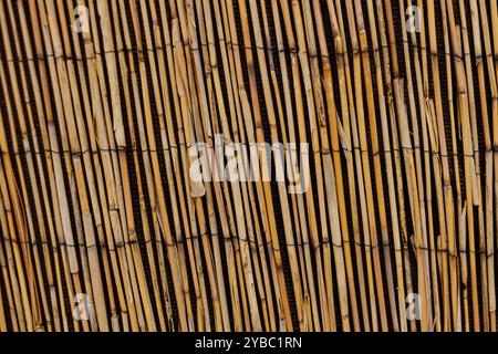 Bamboo fence creating a natural and sustainable barrier Karlin, Prague Stock Photo