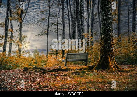 Here you can enjoy the last sunrays of today Stock Photo