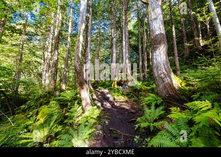 Tateshina Otaki Falls in Japan Stock Photo