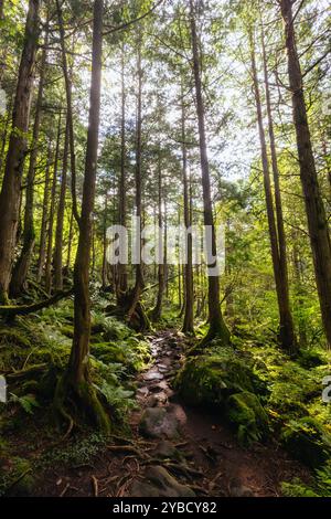 Tateshina Otaki Falls in Japan Stock Photo