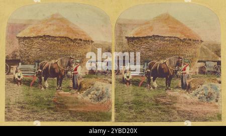 Farmer holding horse, large haystack in background, about 1860. Stock Photo