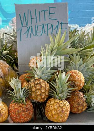 White pineapples are displayed, on sale at a farmers market in Hawaii. The interior of this varietal is white, and the flavor is sweeter and less acid Stock Photo