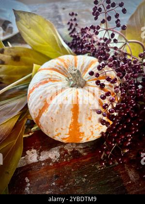 A small decorative pumpkin with orange stripes sits on a rustic table, paired with deep purple berries and autumn leaves, a festive fall display Stock Photo