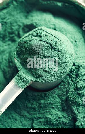 Green spirulina algae powder in a plastic measuring spoon Stock Photo