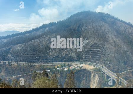 Fireforests, Quito - Ecuador / September 2024 Stock Photo