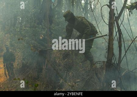 Fireforests, Quito - Ecuador / September 2024 Stock Photo