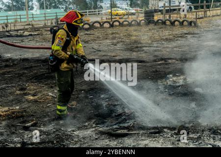 Fireforests, Quito - Ecuador / September 2024 Stock Photo