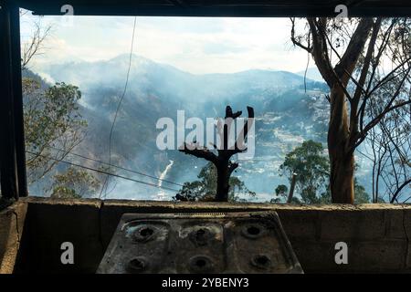 Fireforests, Quito - Ecuador / September 2024 Stock Photo