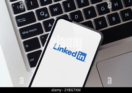 LinkedIn app on smartphone screen. Mobile phone with a professional and business oriented social network service application. ROSARIO, ARGENTINA - OCT Stock Photo