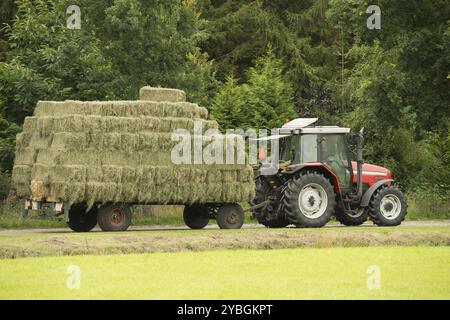 Transportation of bales of hay with a red tractor and flat car Stock Photo